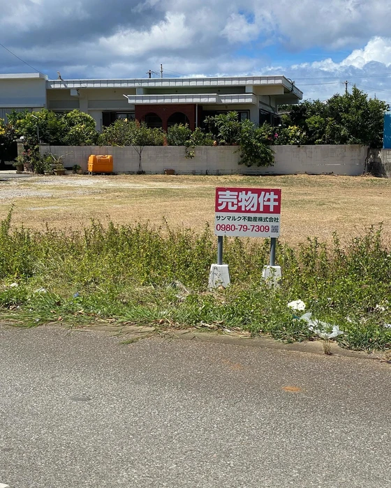 画像233