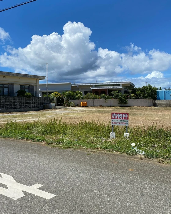 画像234